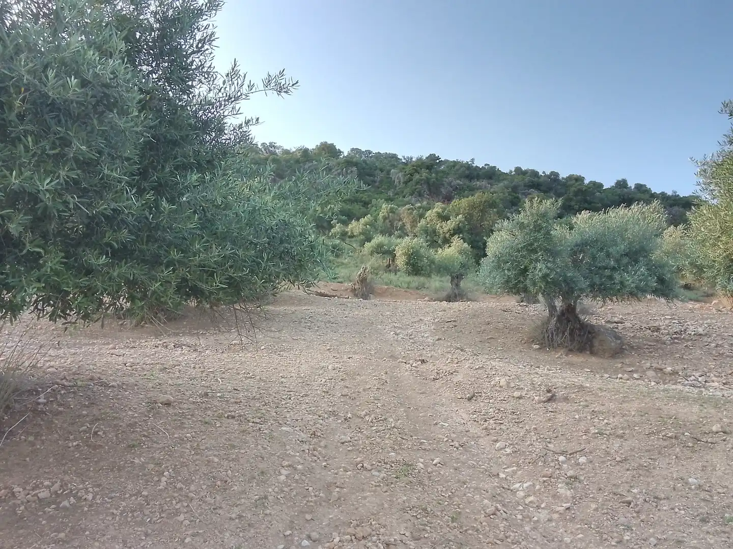 Terreno rústico en venta en Villamartín, imagen 17