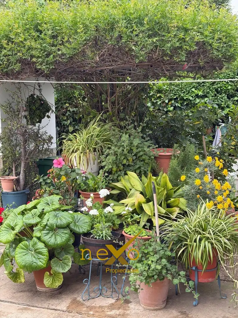 Jardín de Casa o chalet en venta en Carmona con Aire acondicionado, Jardín privado y Terraza