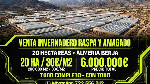 VENTA DE INVERNADERO DE 20 HECTAREAS EN BERJA.
