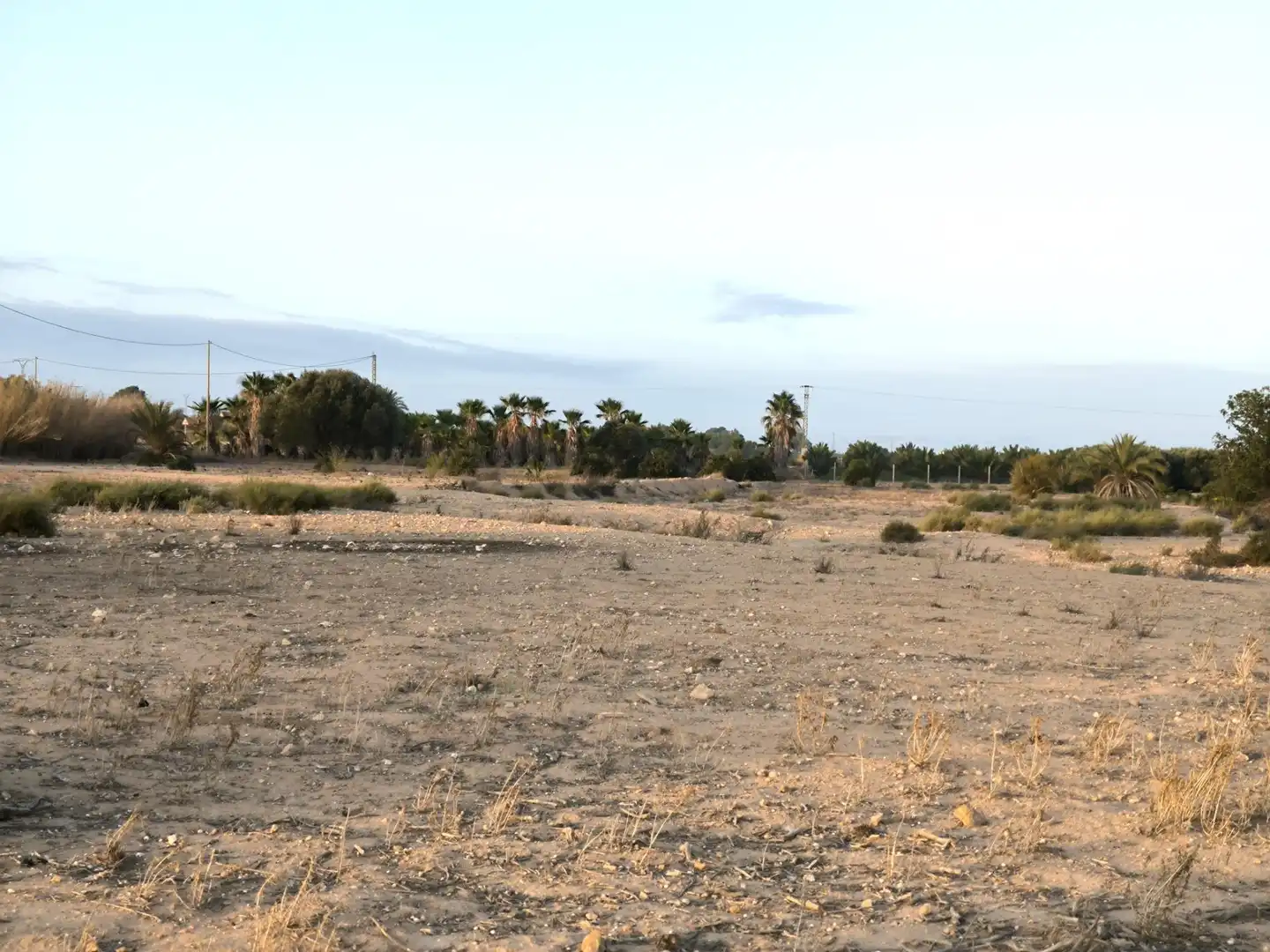 Terrain rustique à vendre à La Marina, imagen 8