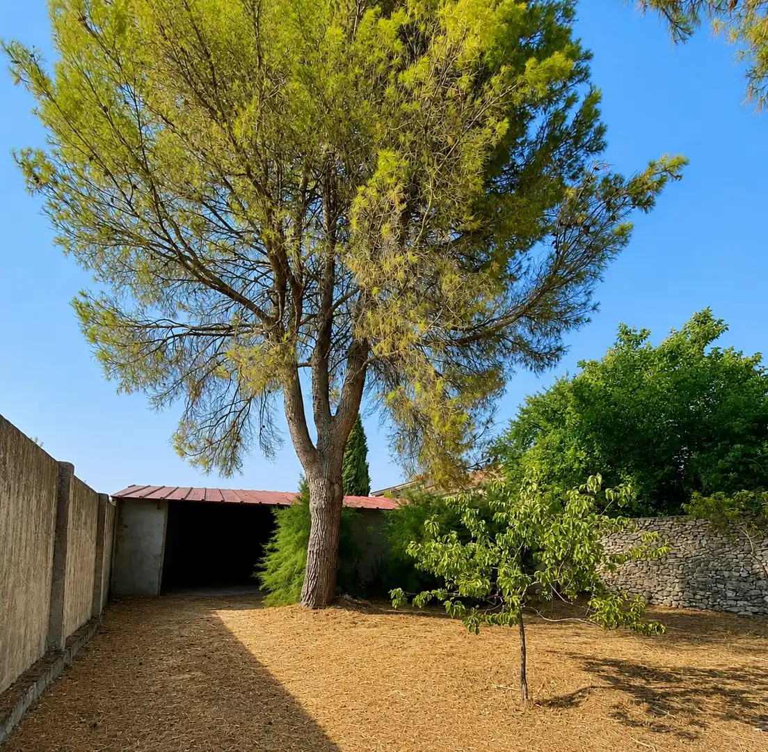 Casa rústica en venda a Olombrada, imagen 30