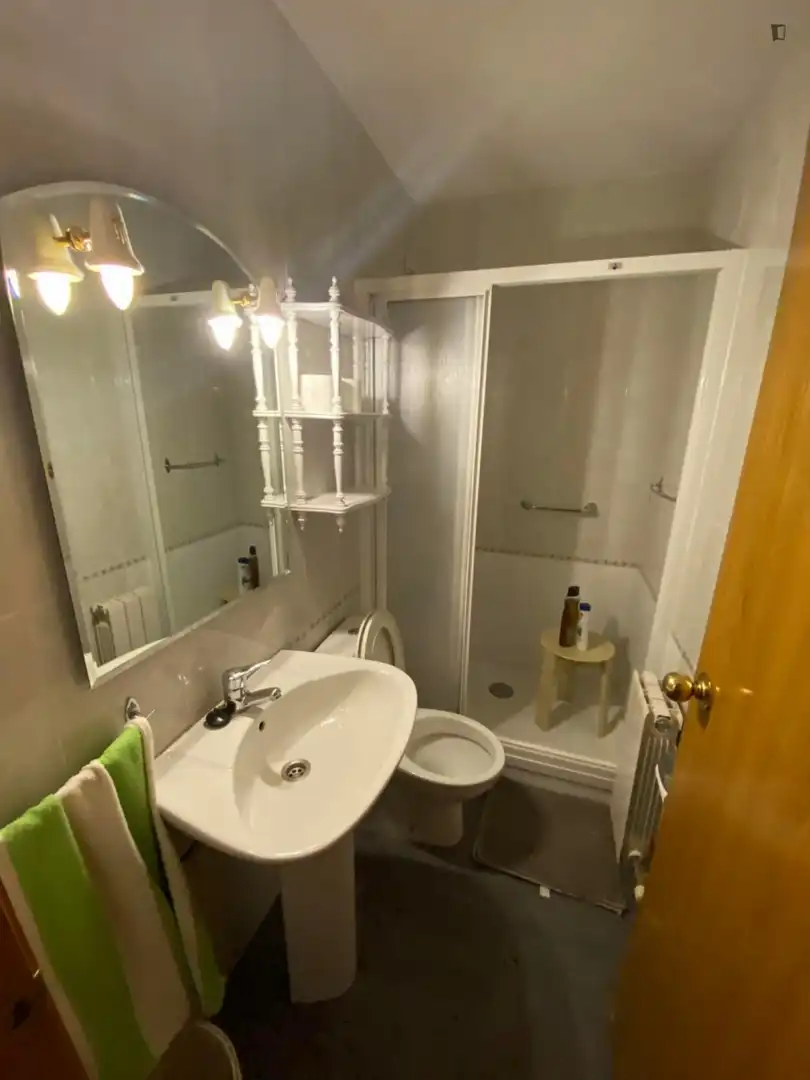 Bany de Apartament per a compartir en Barcelona amb Aire condicionat, Calefacció i Moblat