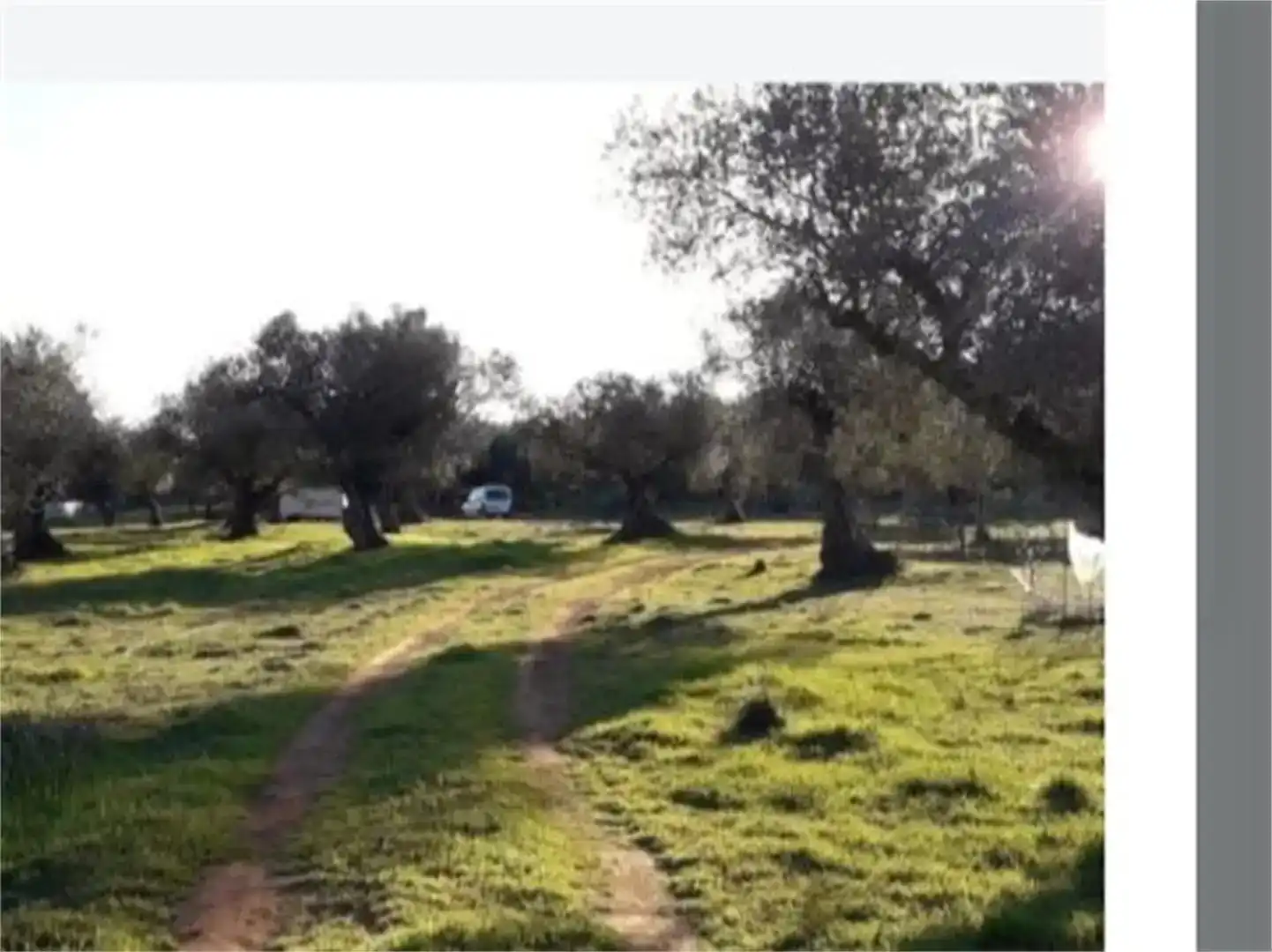 Finca rústica en venda en Higuera la Real