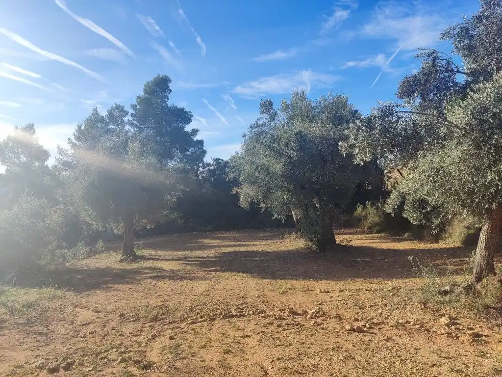 Terreni e lotti in vendita a Cretas, imagen 5