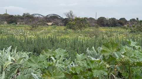 Finca Rúst. en venta en Torredembarra., imatge 3