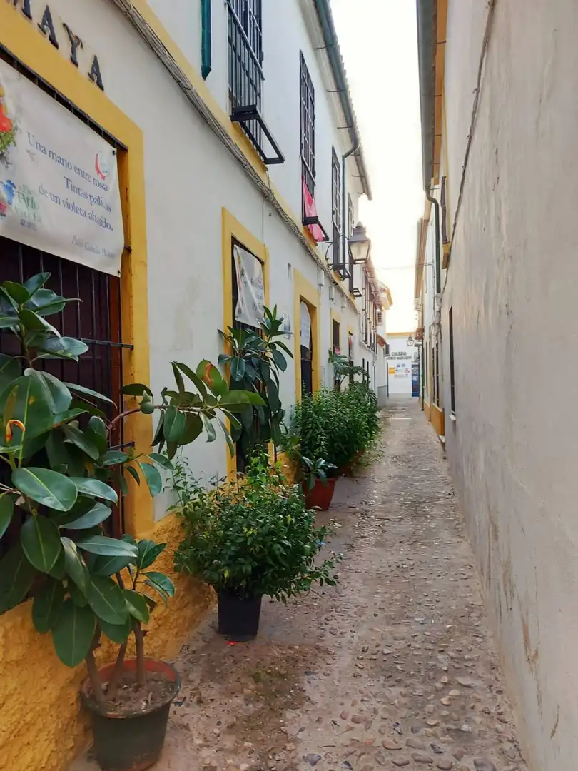 Maison à vendre à Centro, imagen 31