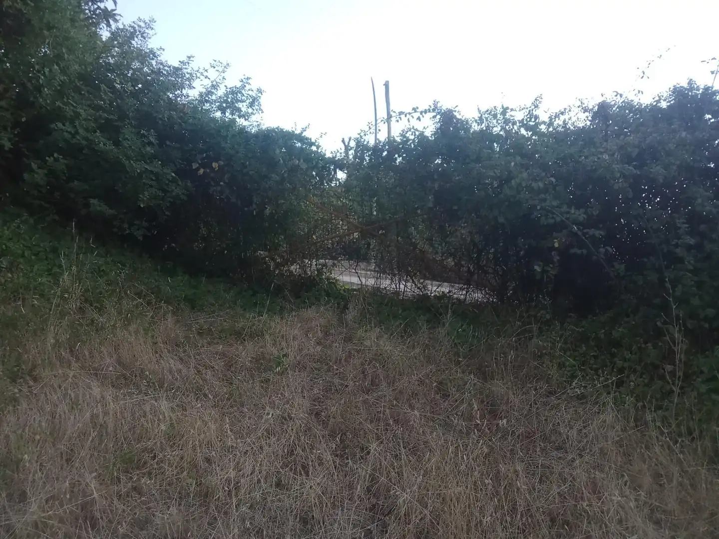 Residential land for sale in Valdenuño Fernández, imagen 13