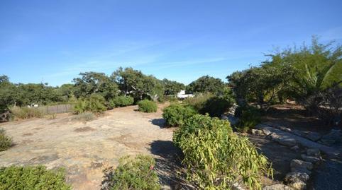 Foto 3 de Finca rústica en venta en Pago del Humo, 1, Pelagatos - Pago del Humo, Cádiz