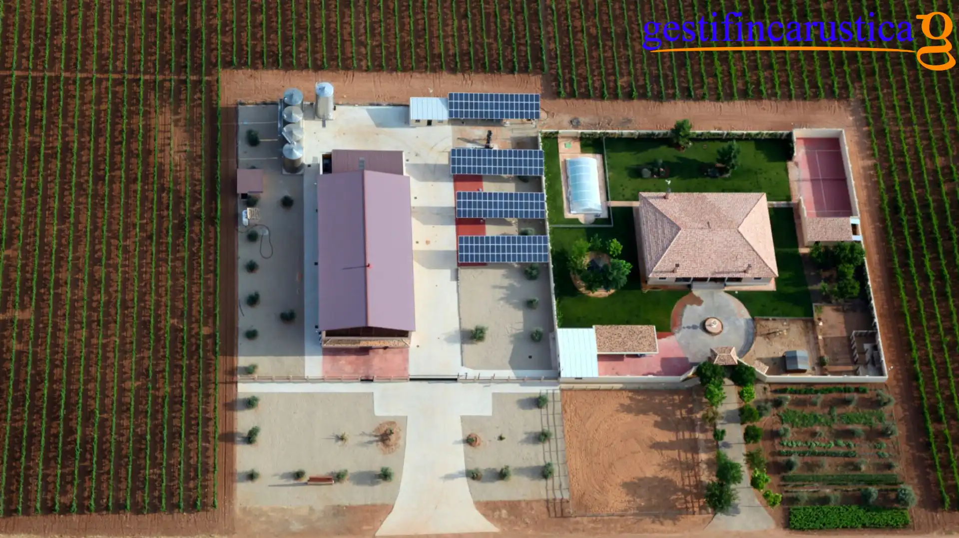 Rural land for sale in Tomelloso, imagen 2