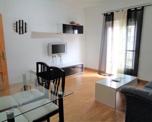 Living room of Flat for sale in Plasencia  with Air Conditioner, Heating and Parquet flooring