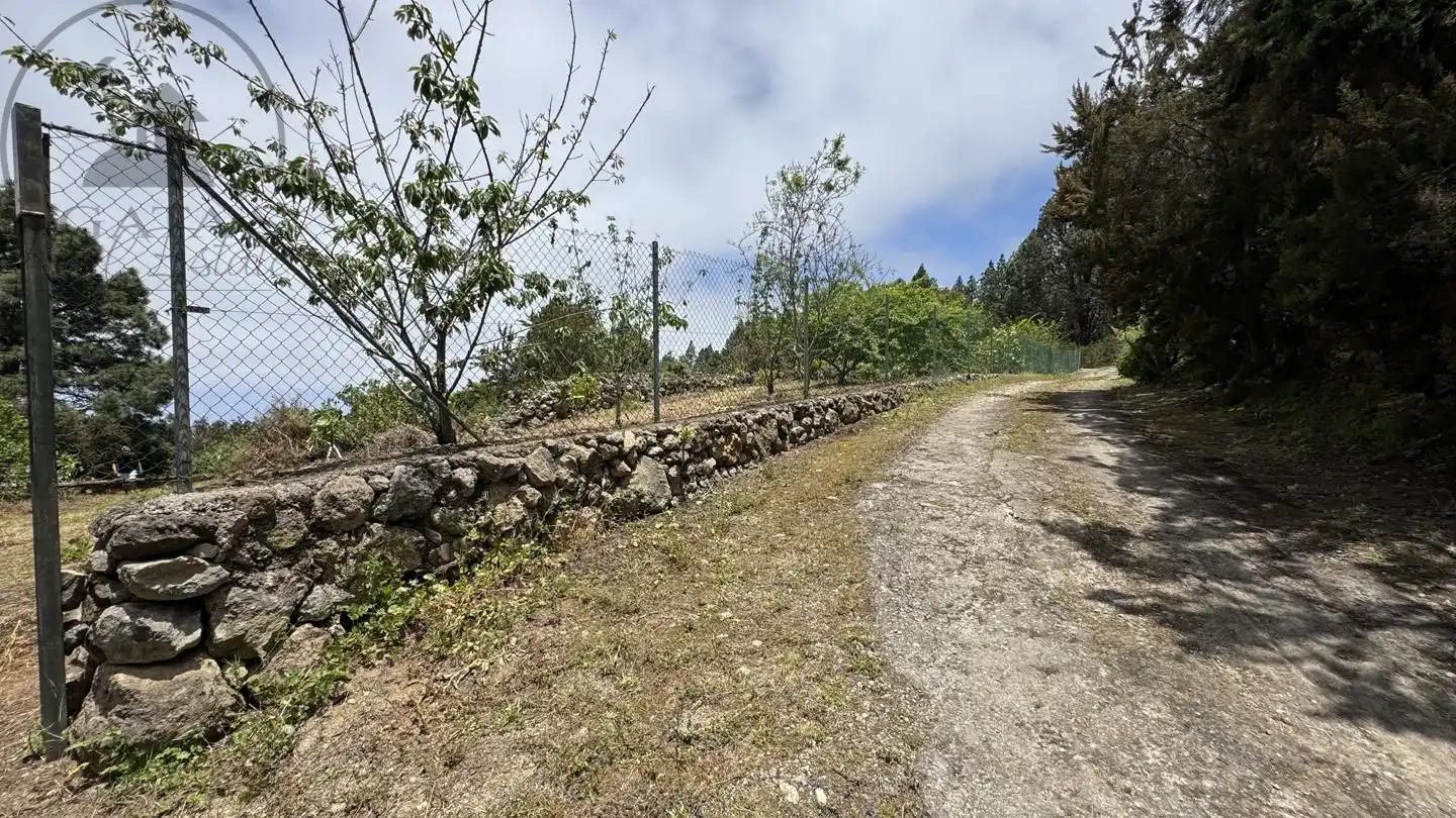 Lands and plots for sale in La Peña 1, imagen 3