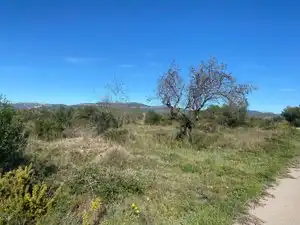 Terreno en venta en El Pont d'Armentera