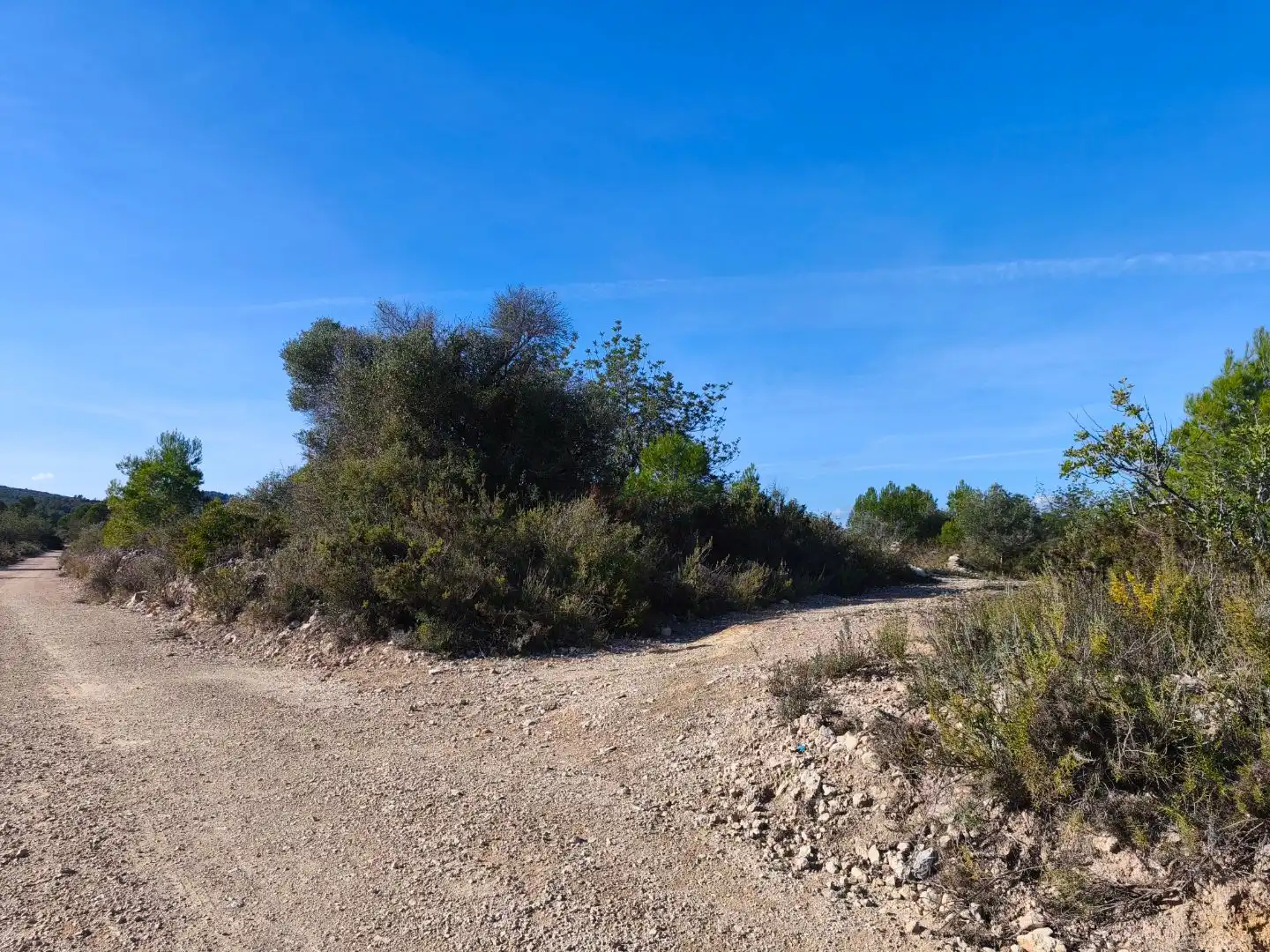 Rural land for sale in Carrer Fray Salvador 50, imagen 8