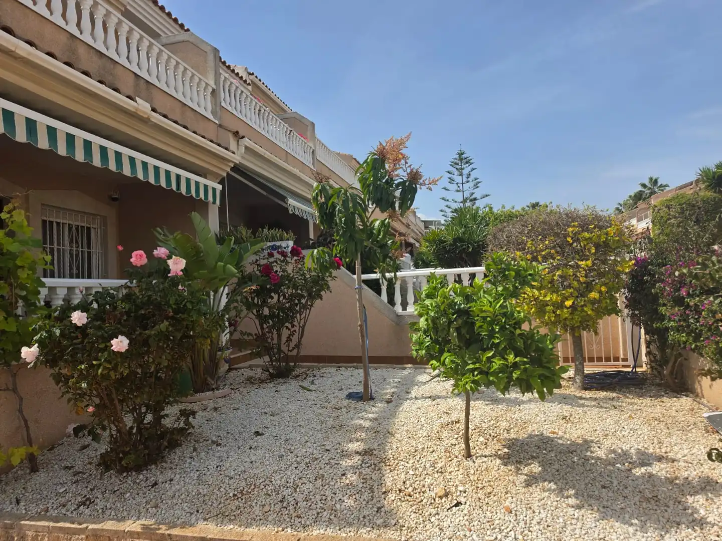Jardín de Casa o chalet en venta en Torrevieja con Amueblado