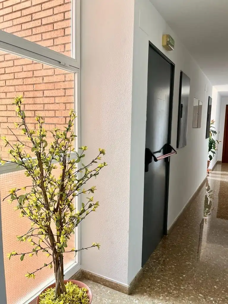 Pis de lloguer en Alicante / Alacant amb Jardí privat, Terrassa i Moblat