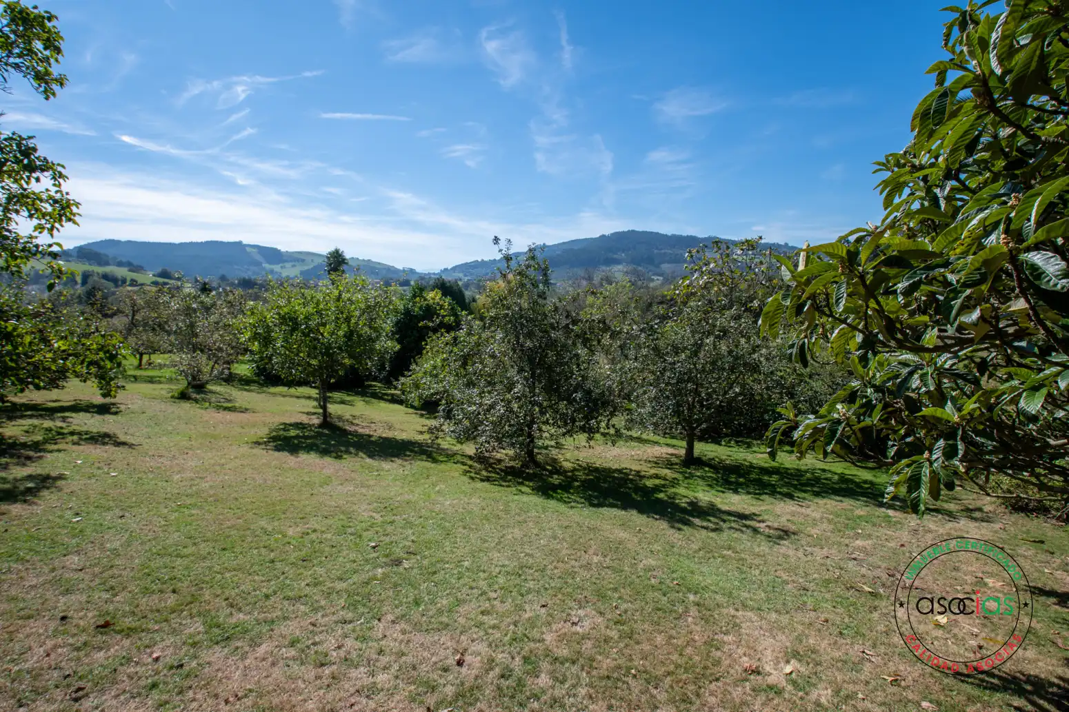 Casa o chalet en venta en Villaviciosa con Calefacción, Jardín privado y Parquet
