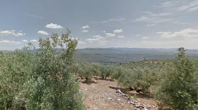 Terreno en Venta en los perones en Sorihuela del Guadalimar