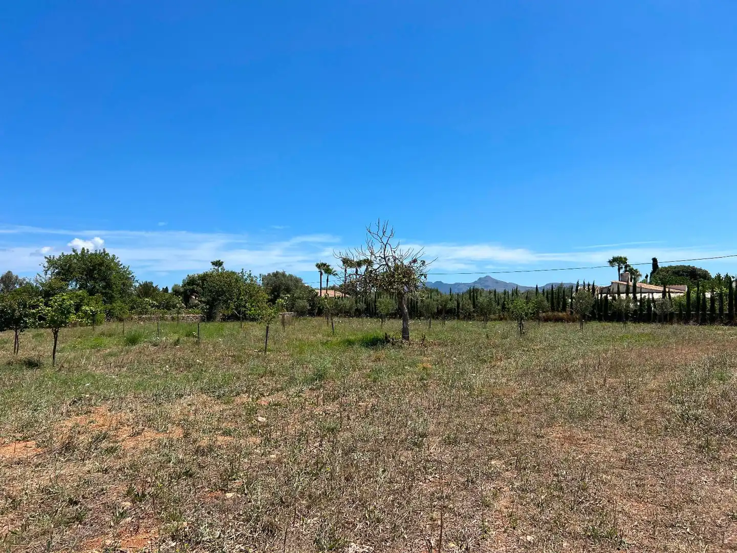 Terreno residenziale in vendita a Pollença Poble, imagen 14