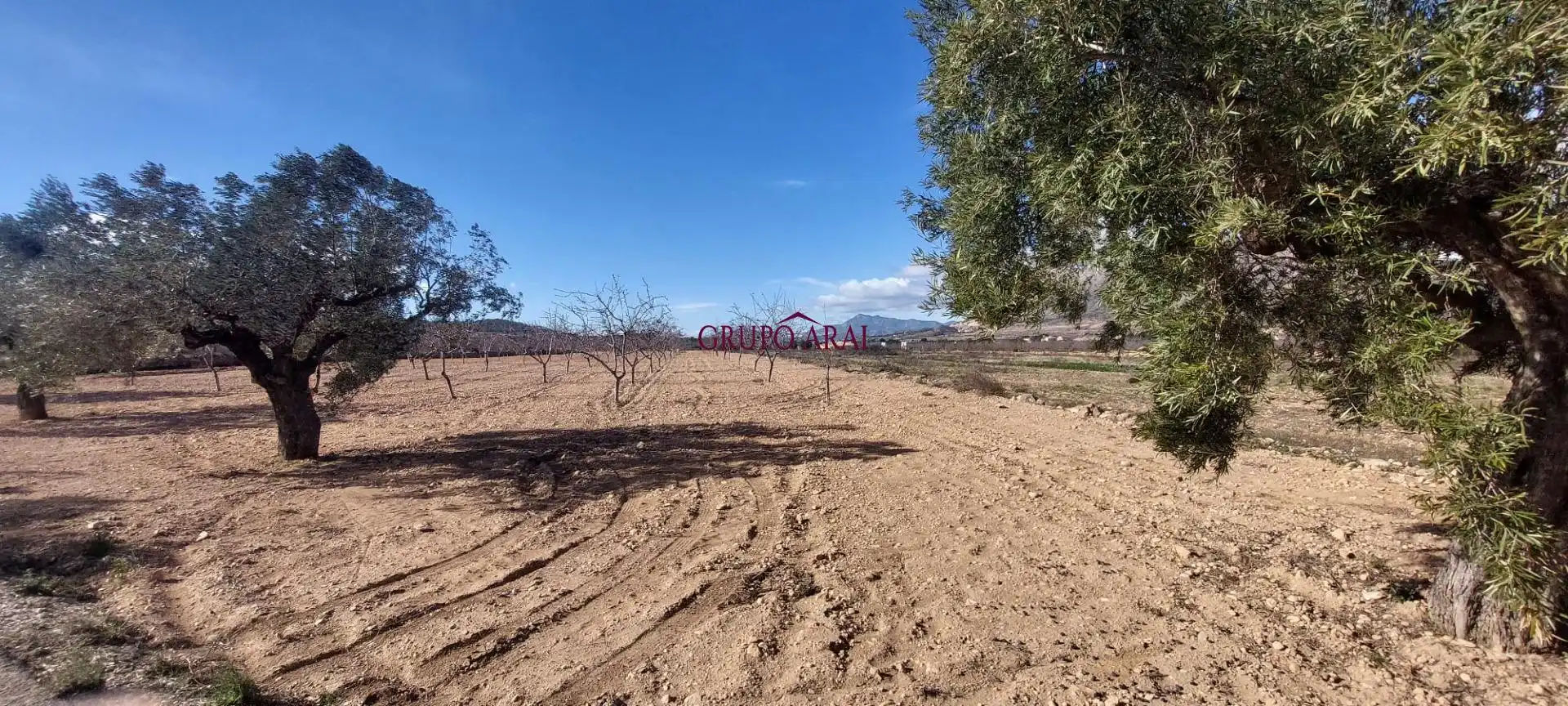 Terreno rustico in vendita a Calle Hondón de los Frailes 2, imagen 3