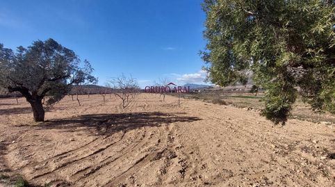 Vive el campo cerca del pueblo finca rústica con opción de construcción, imatge 3