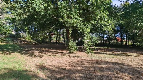 Finca con robles en venta Dodro junto el campo de la fiesta., immagine 3