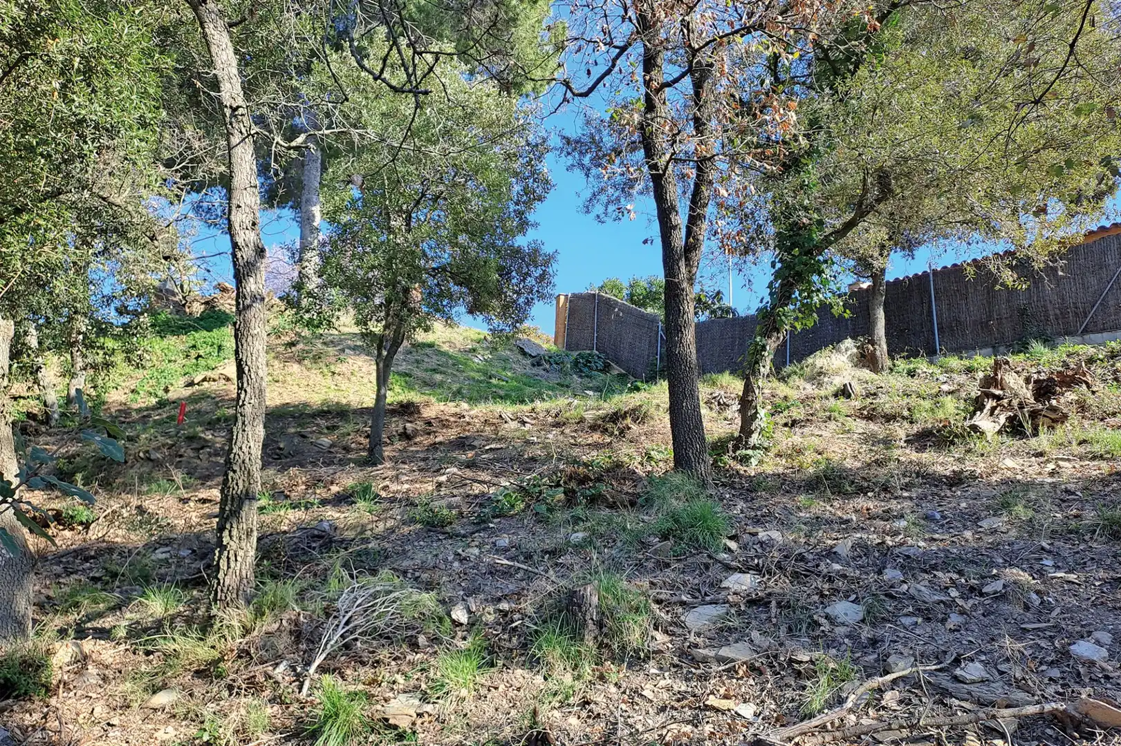 Lands and plots for sale in CANIGO, imagen 11