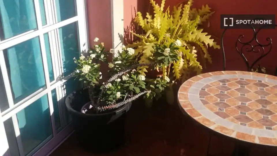 Room in San Sebastián de la Gomera