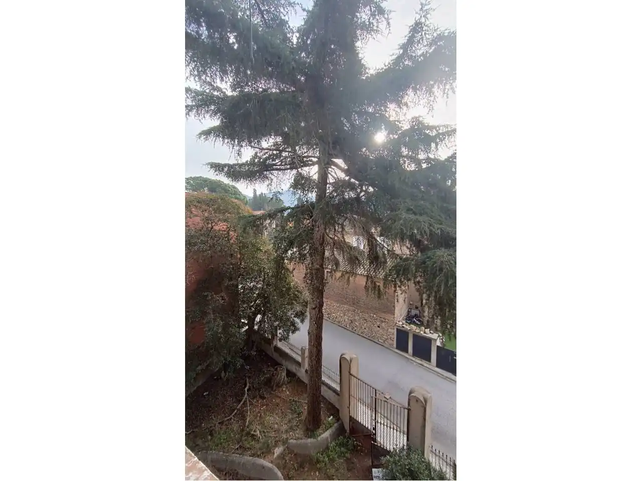 Jardí de Casa o xalet en venda en Martorelles amb Jardí privat, Terrassa i Alarma