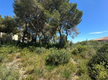 Terreni e lotti in vendita a Castellet i la Gornal