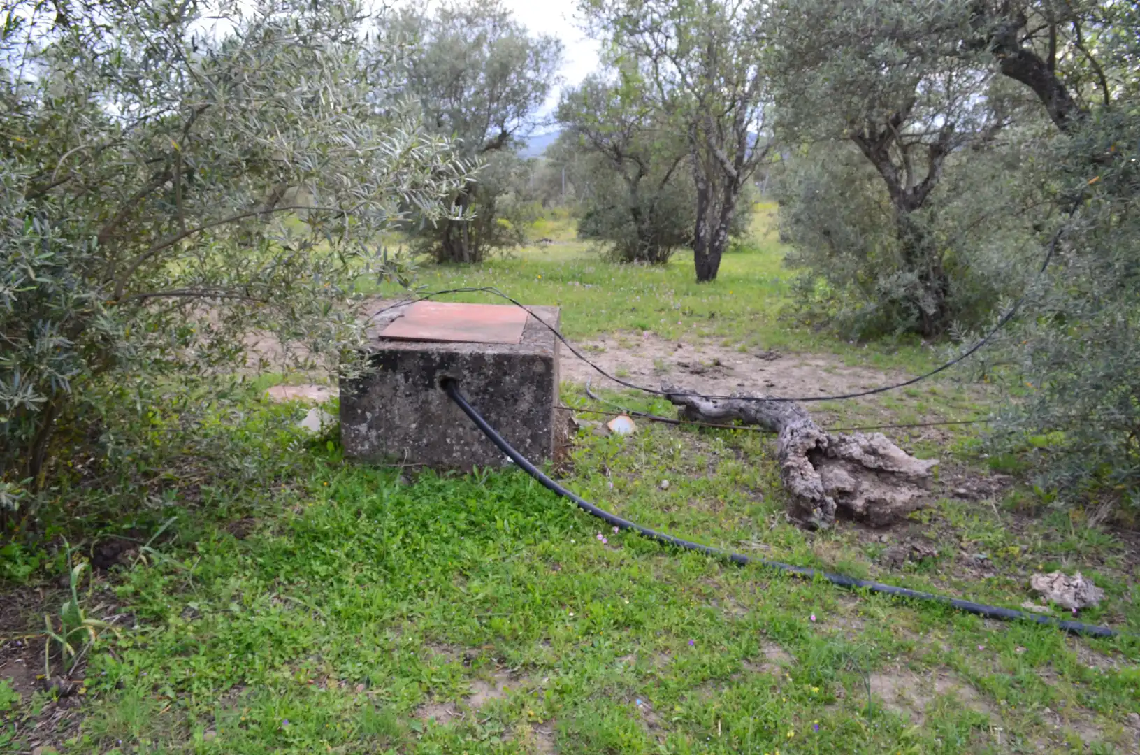 Terreni e lotti in vendita a Zona Sur - Av. de España - San Miguel, imagen 14