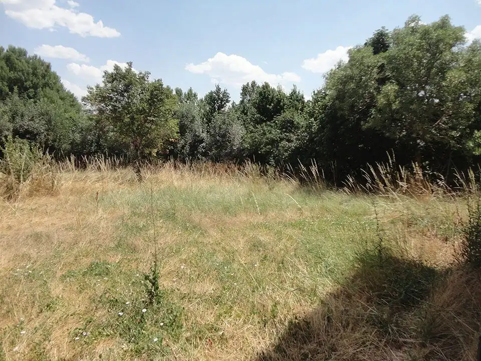 Casa o xalet en venda en Mambrillas de Lara amb Jardí privat
