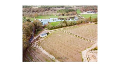 Photo 5 of Houses for sale in Unnamed Road, Castroverde, Lugo