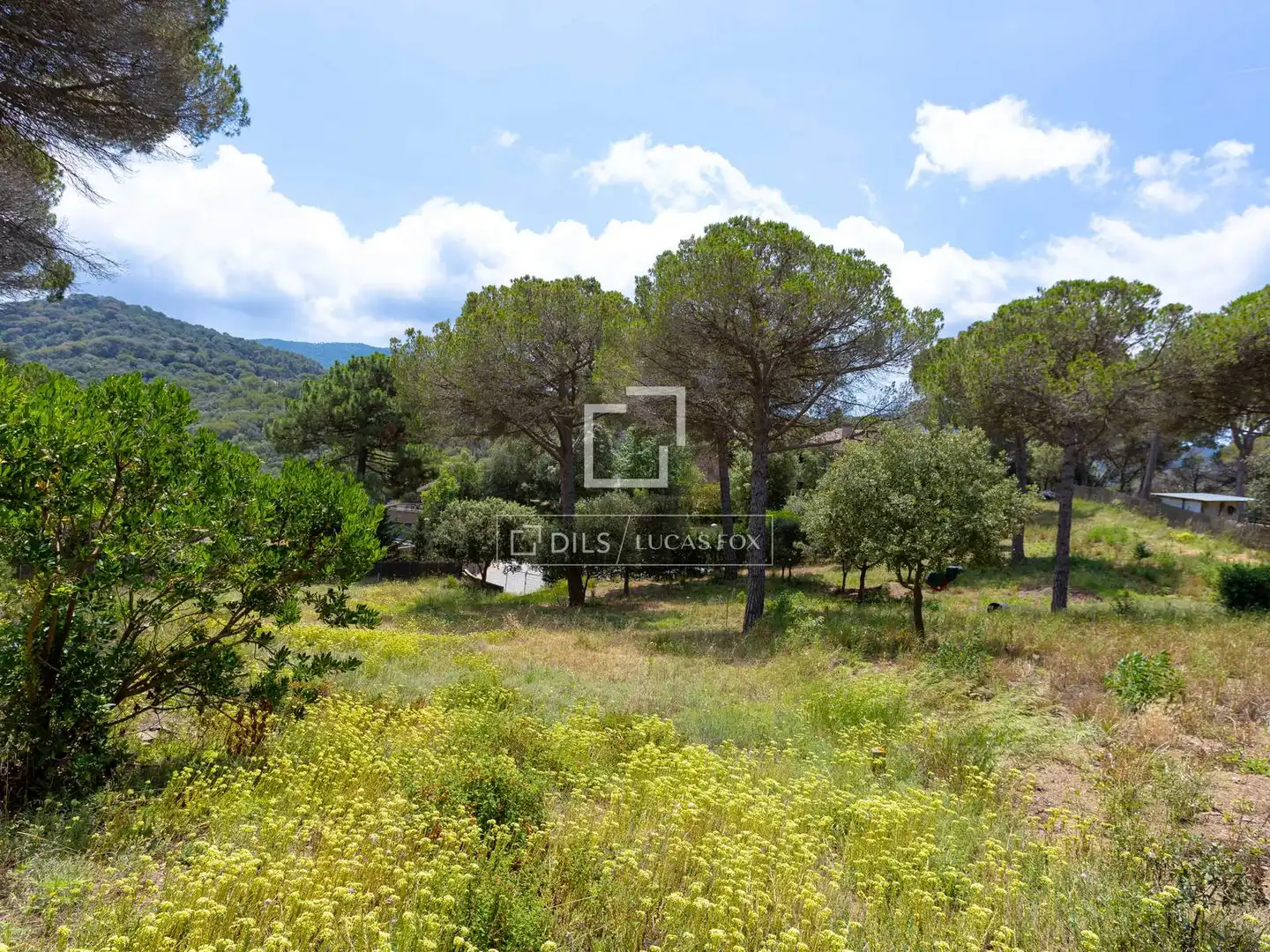 Rural land for sale in Vallromanes, imagen 20