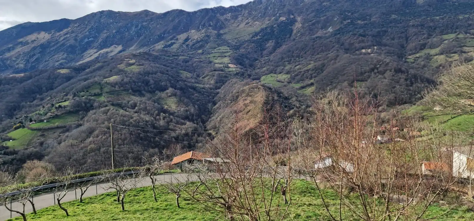 Vista exterior de Finca rústica en venta en Riosa con Jardín privado y Trastero