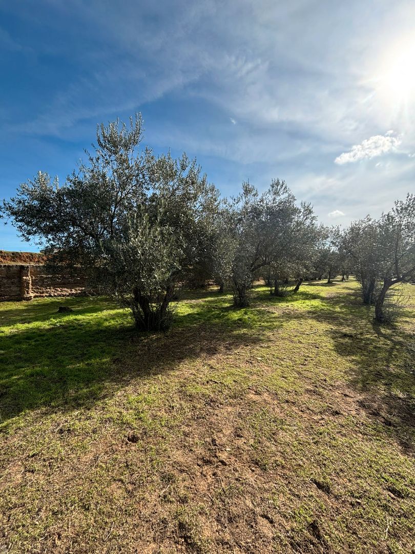 Country house for sale in Niebla  with Air Conditioner, Private garden and Swimming Pool