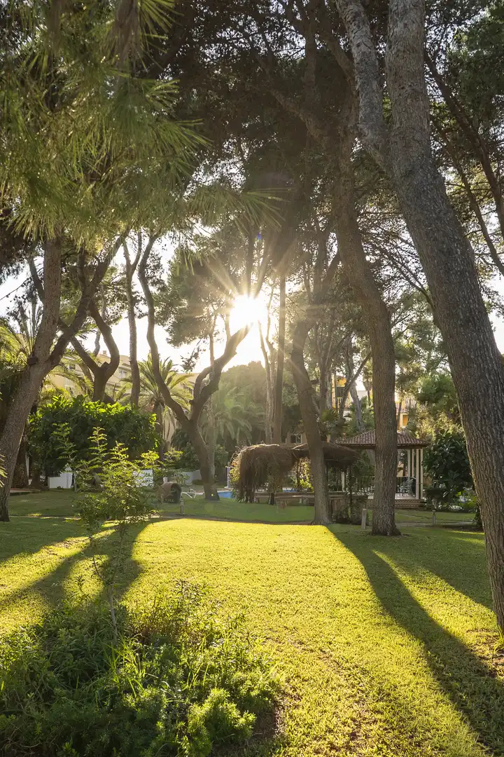 Apartamento con terraza en venta en Santa Ponça, imagen 7