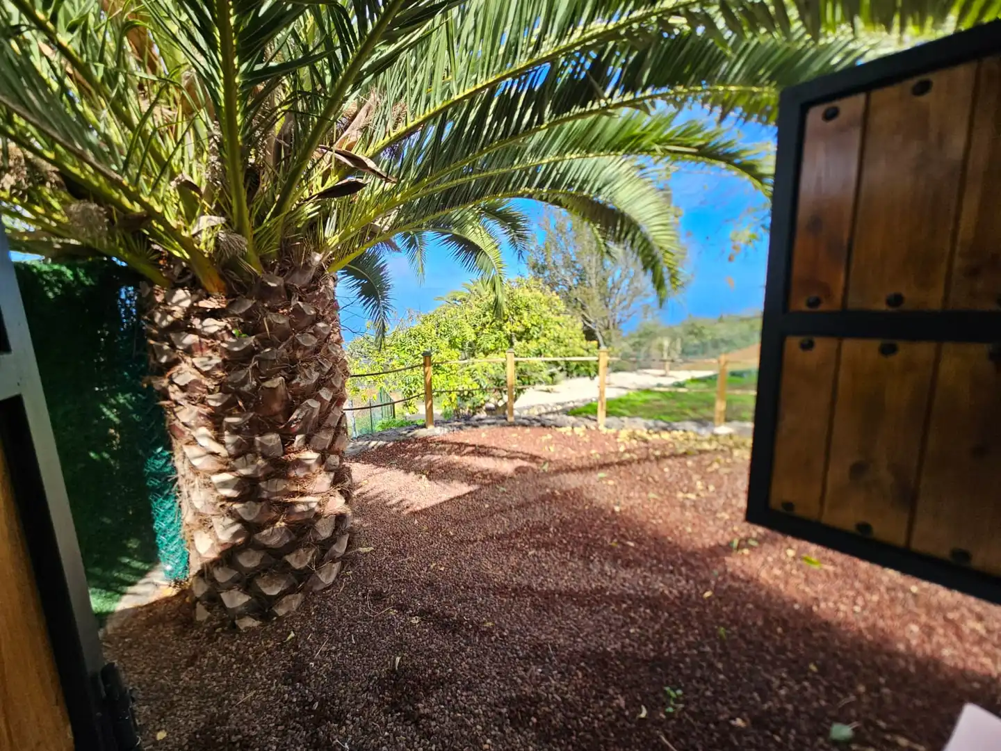 Garden of Country homes for sale in Icod de los Vinos  with Private garden, Terrace and Furnished