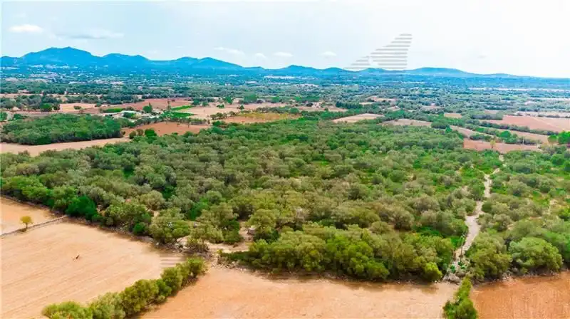 Residential land for sale in Felanitx Poble