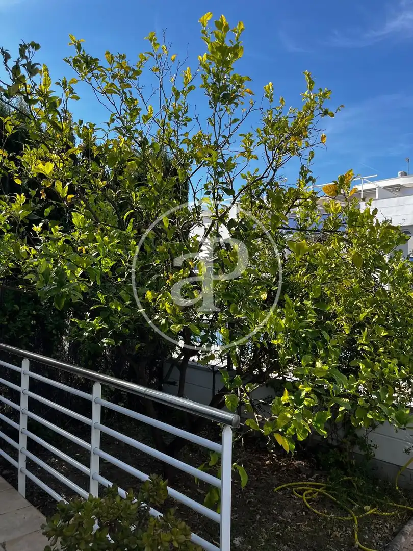 Exterior view of Attic for rent in Almenara  with Air Conditioner, Heating and Private garden