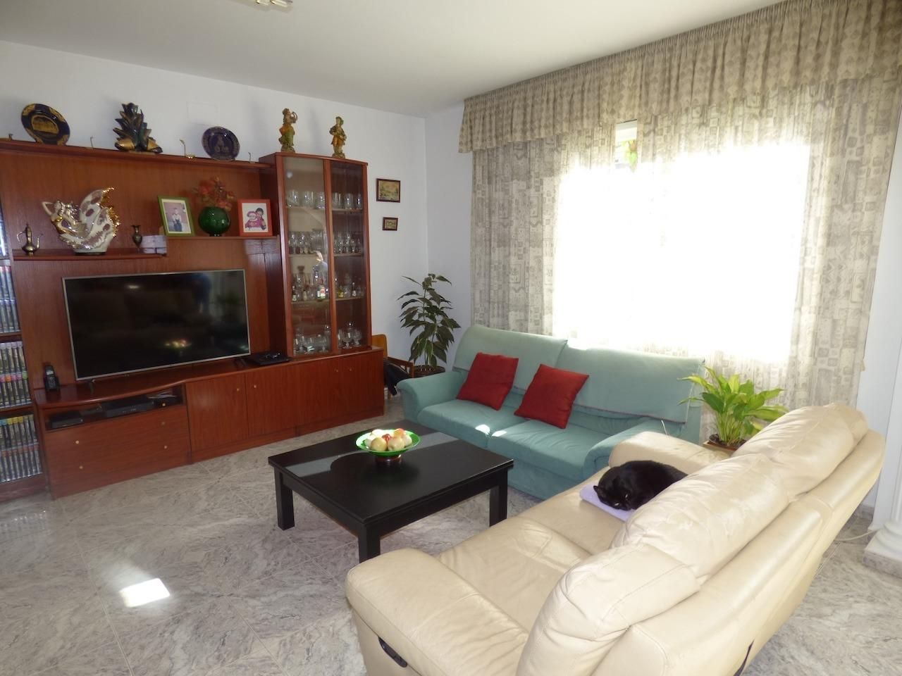 Sala d'estar de Casa o xalet en venda en Pineda de Mar amb Calefacció, Jardí privat i Terrassa