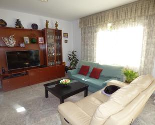 Sala d'estar de Casa o xalet en venda en Pineda de Mar amb Calefacció, Jardí privat i Terrassa