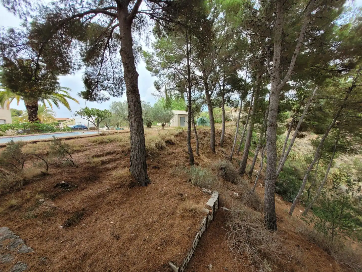 Country house with pool for sale in Petrer, imagen 16