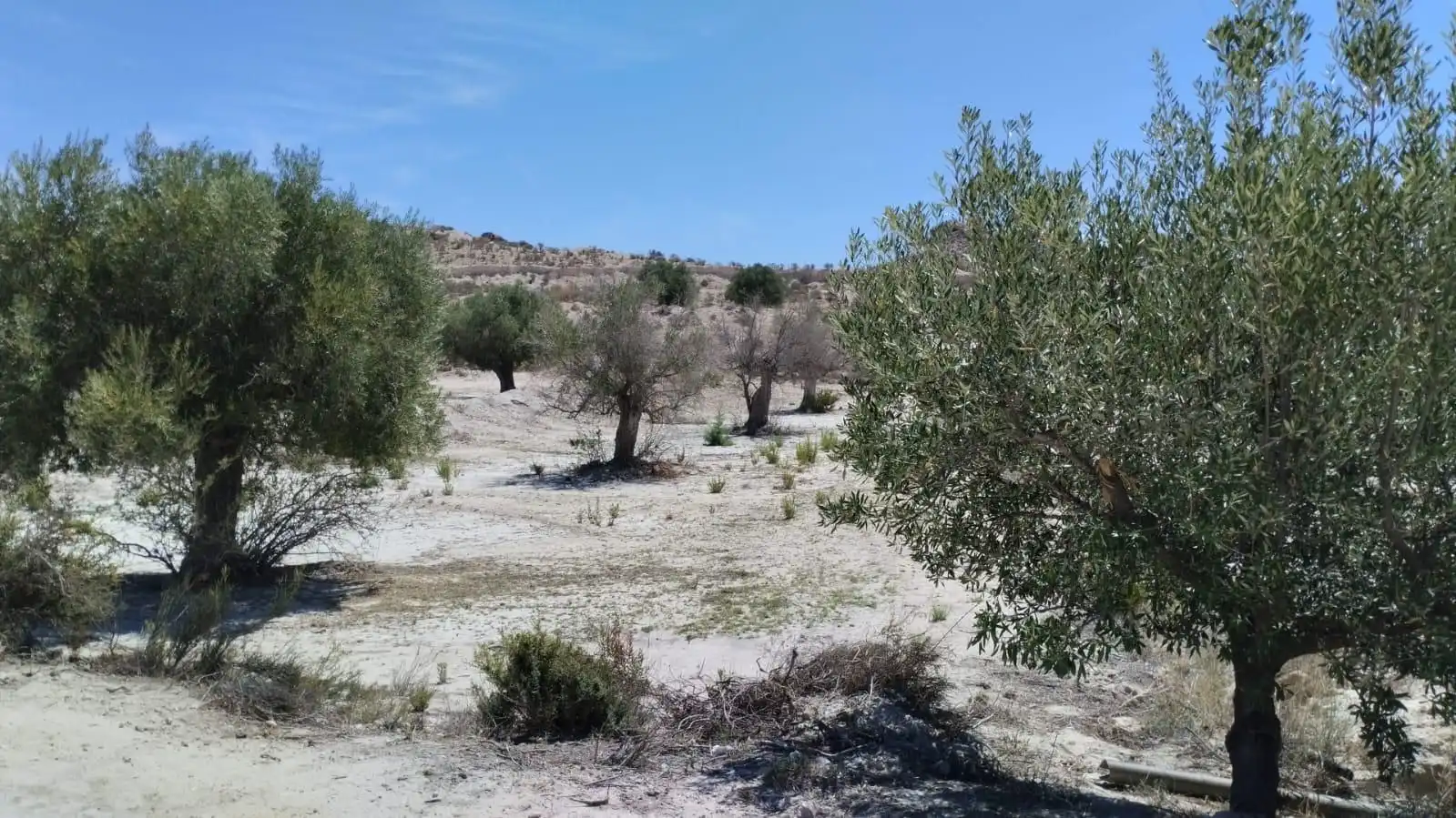 Grundstücke zum Verkauf in Molina de Segura