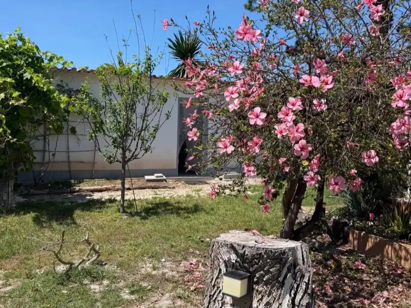 Chalet con jardín en venta en Carrer Fàtima 313, imagen 5