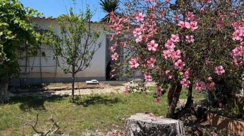 Magnífica finca de 15 habitaciones, imatge 5