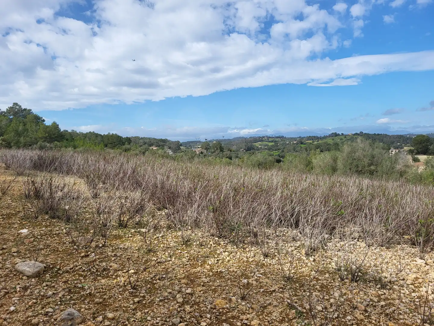 Terreni e lotti in vendita a Sant Joan, imagen 26