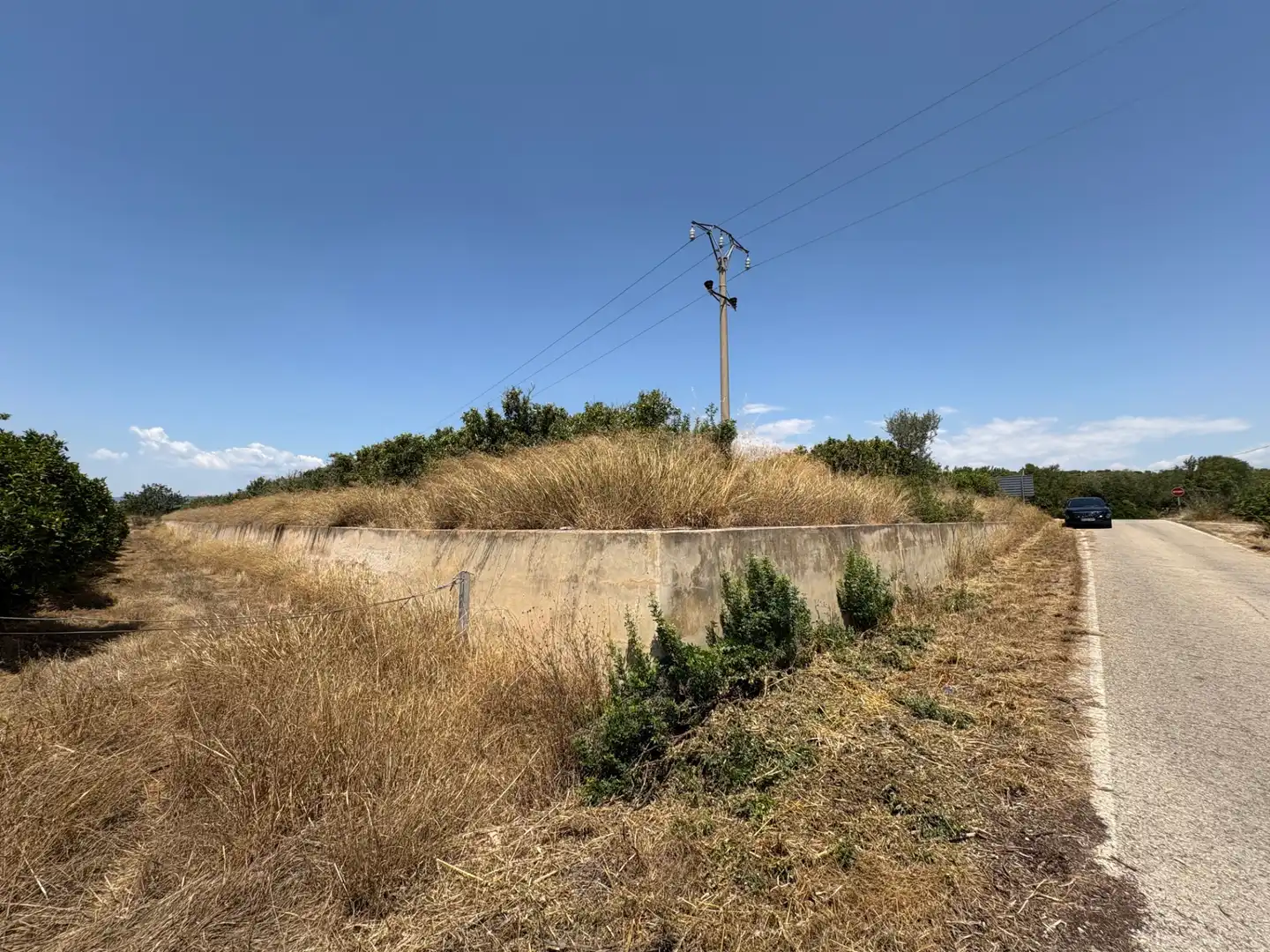 Land for sale in Vilamarxant