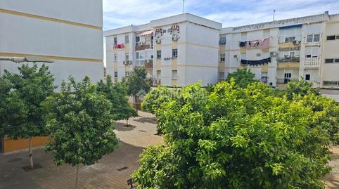 Foto 5 de Piso en venta en Calle C/hebrón, San Pablo,  Sevilla Capital