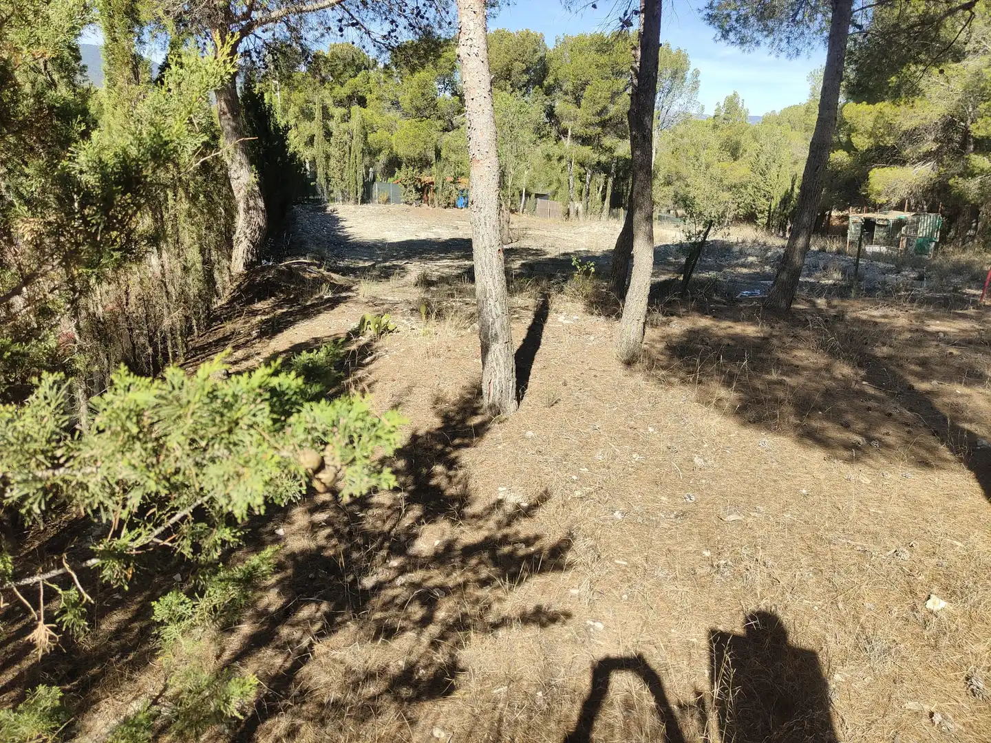 Residential land for sale in Tibi, imagen 5