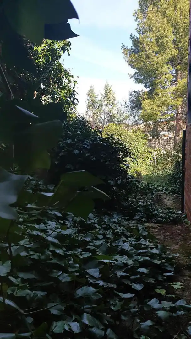 Casa o xalet en venda en Los Hinojosos  